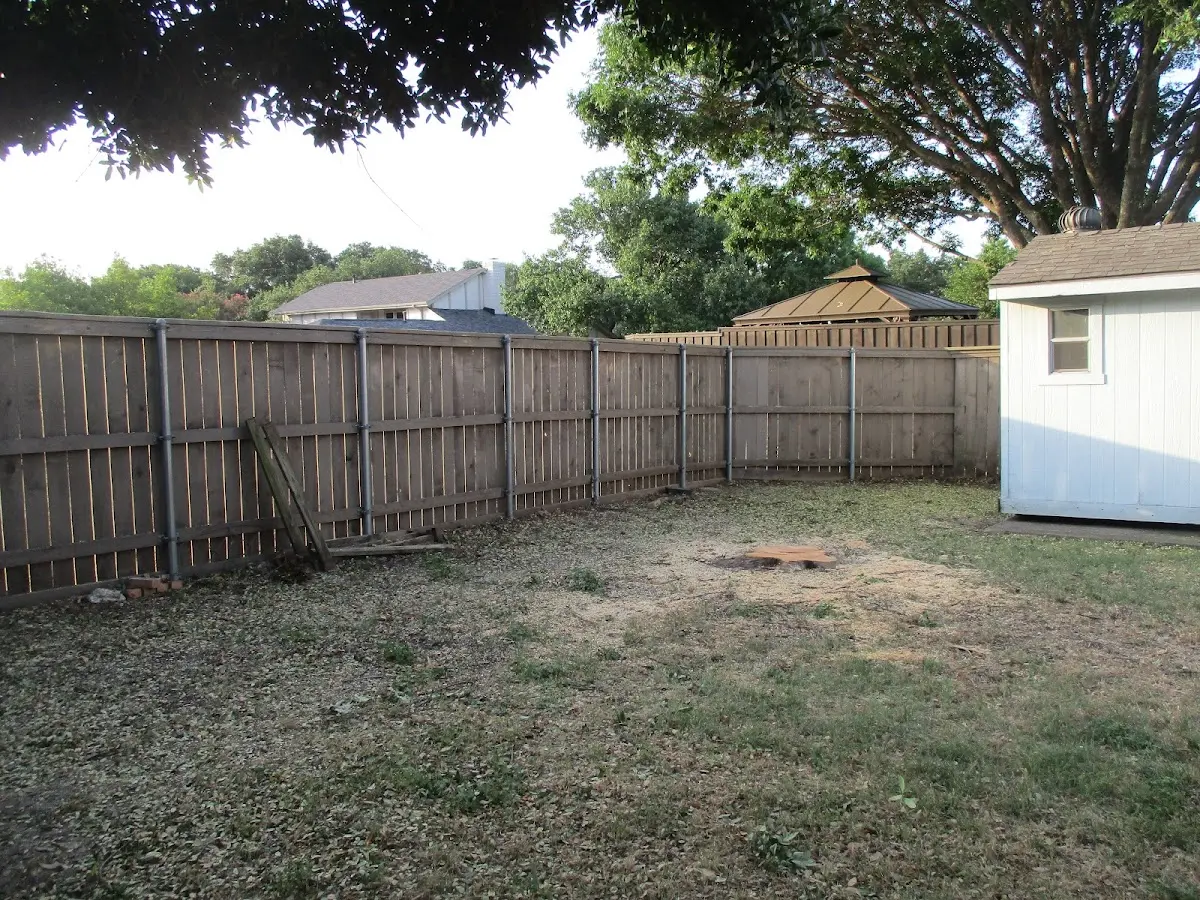 Cleared yard after professional tree removal in Perkasie